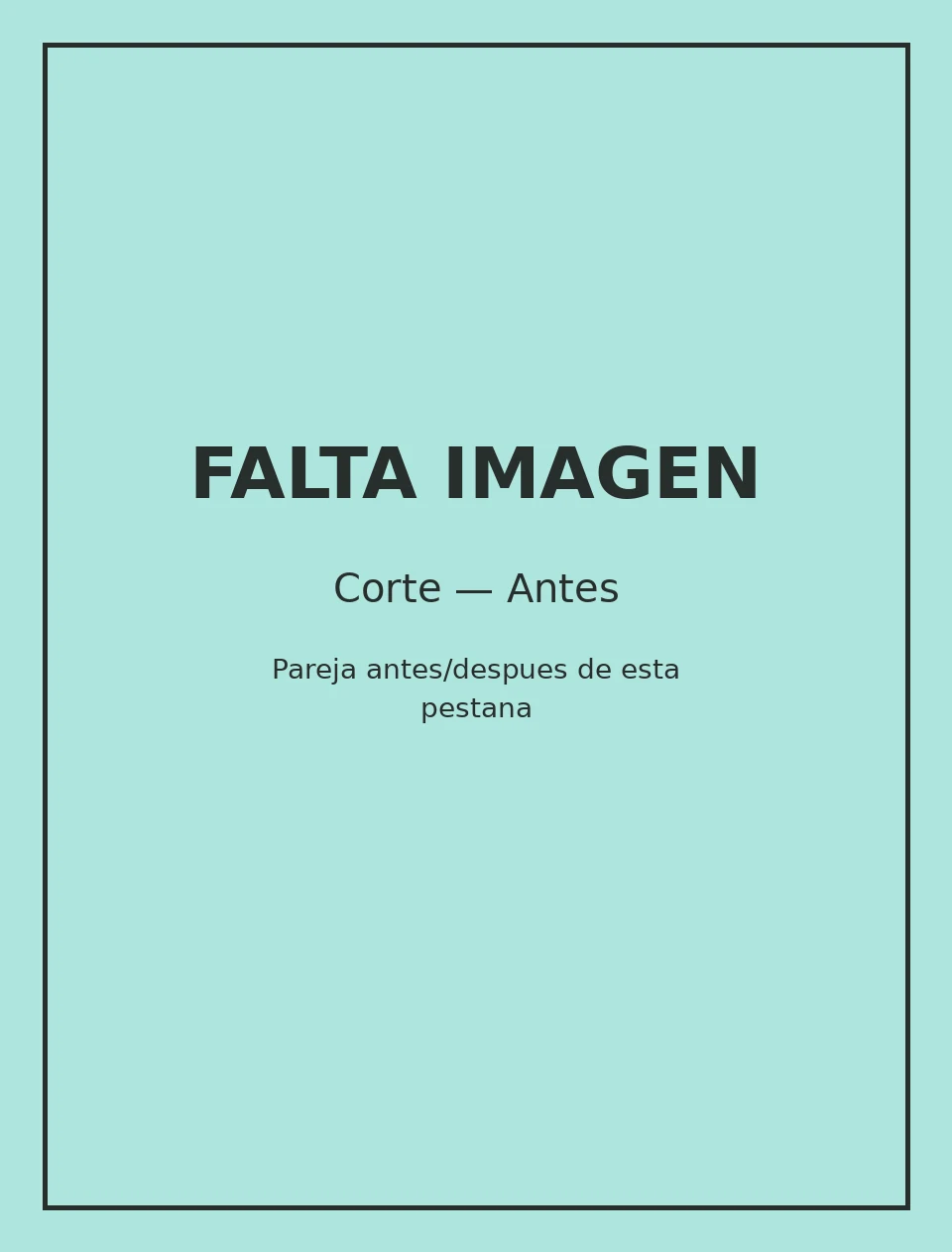 Antes del proceso: Corte