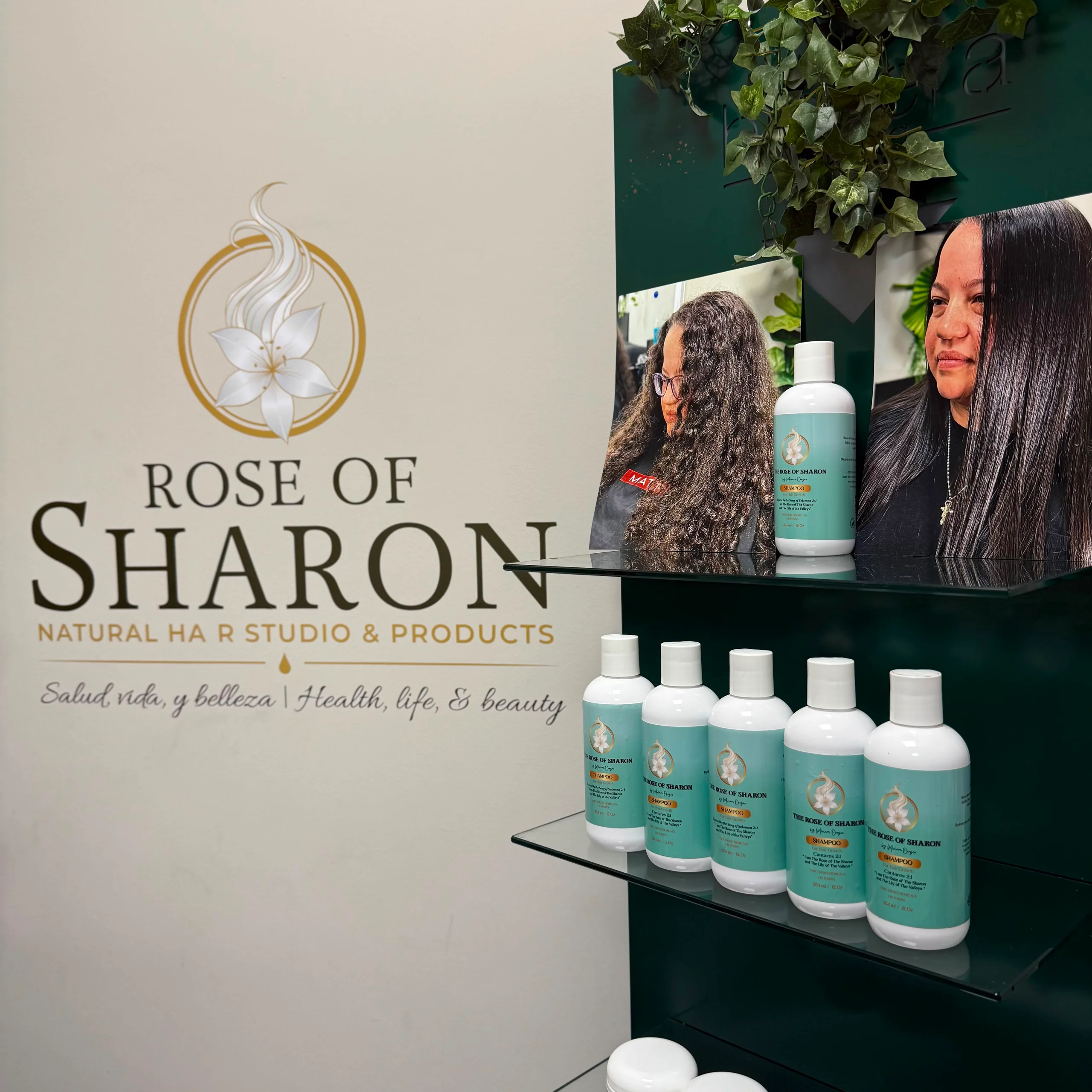 Interior del estudio The Rose of Sharon, con los productos en sus estantes