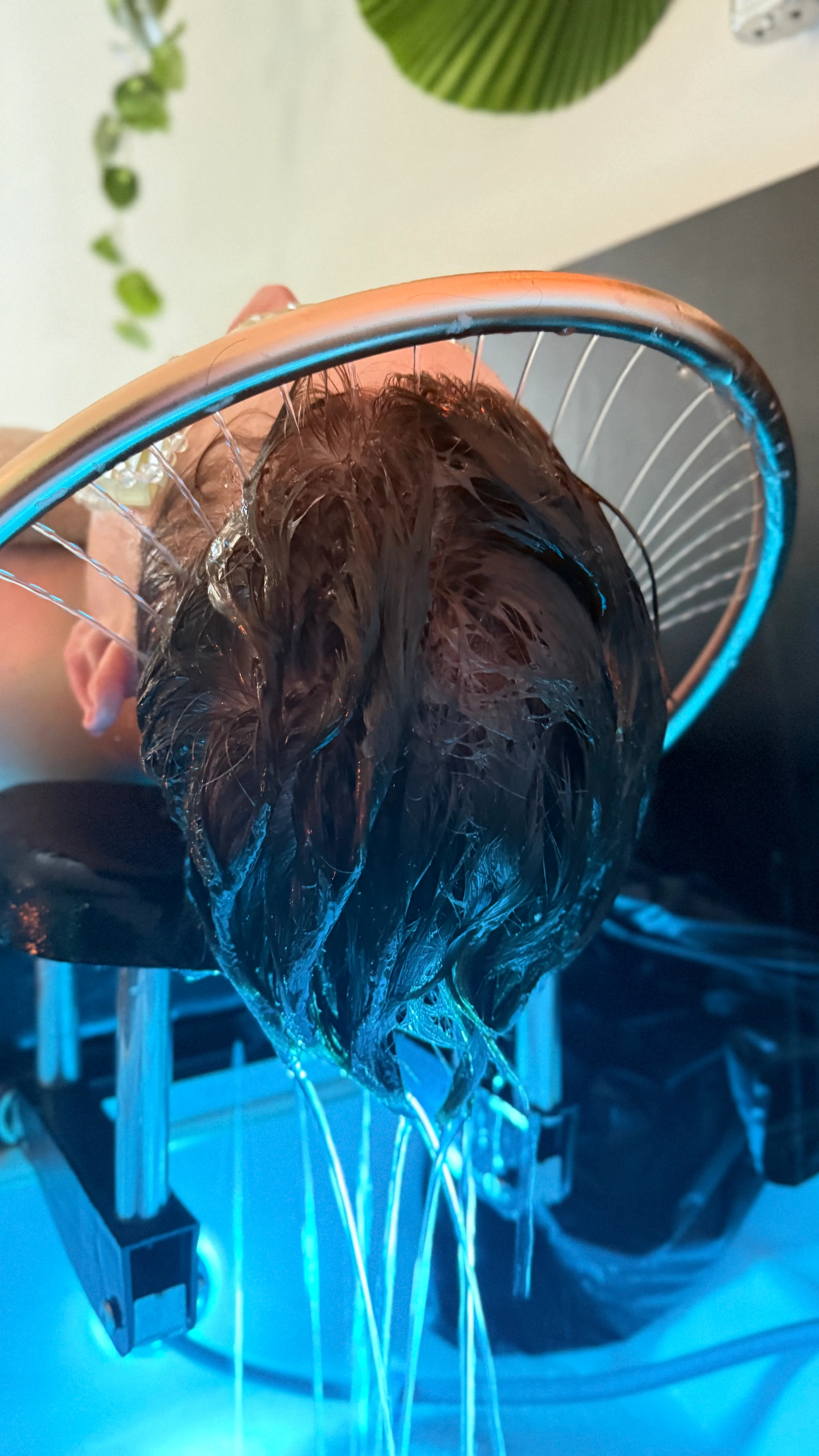 Tratamiento capilar en el estudio, con el cabello bajo la lámpara de luz
